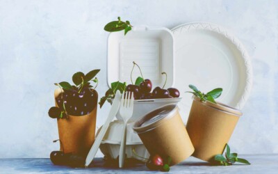 CONOCER PARA CREAR CONCIENCIA SOBRE EL USO DE DESECHABLES BIODEGRADABLES