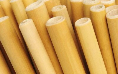 El bambú… planta amiga para utencilios biodegradables