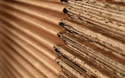 El cartón biodegradable… una opción más para ayudar al medio ambiente